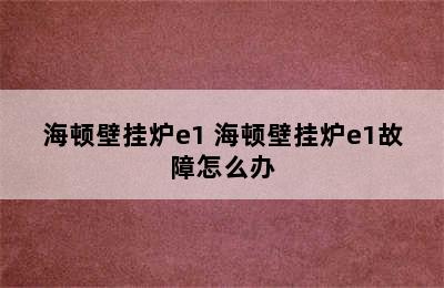 海顿壁挂炉e1 海顿壁挂炉e1故障怎么办